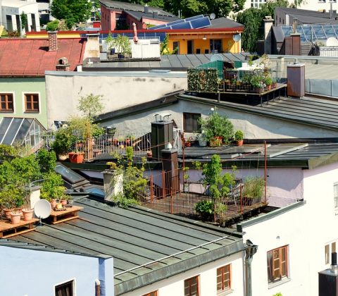 roof-terrace-garden